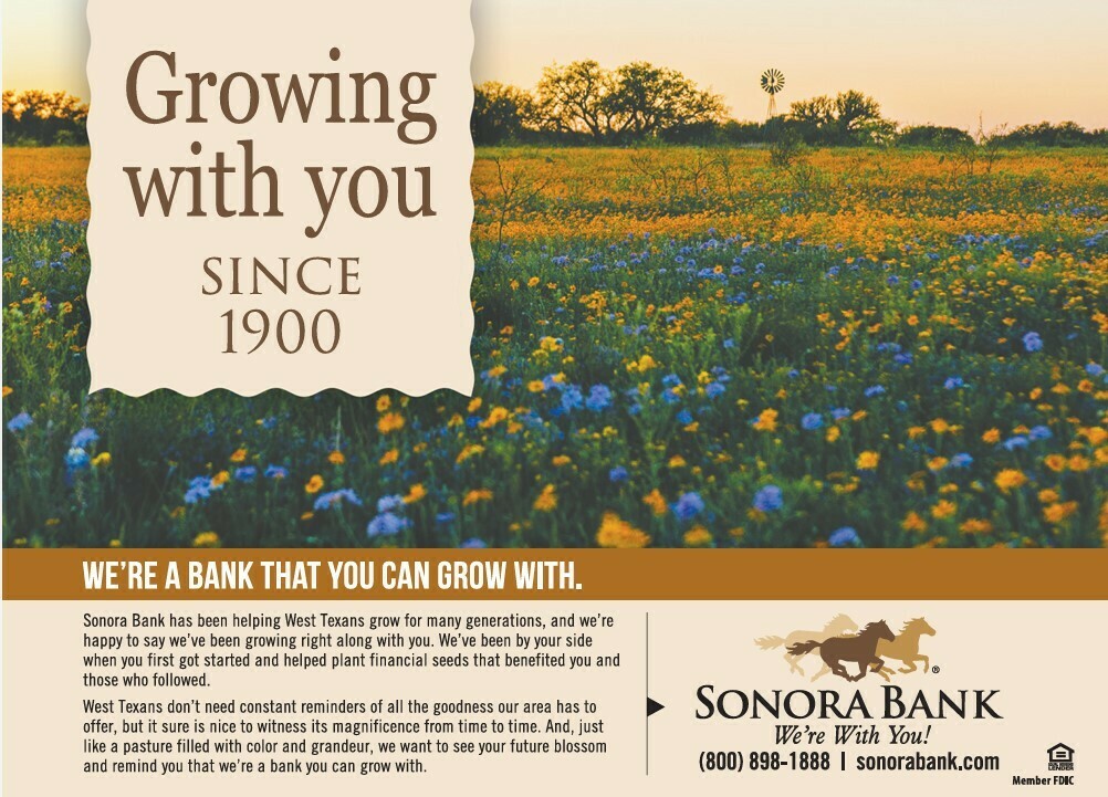 Sonora Bank May 2024